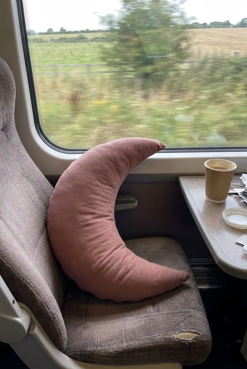 A Rosewood Cove Mini against a train window seat