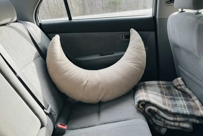 An Oat Cove Mini propped against a car door on a road trip